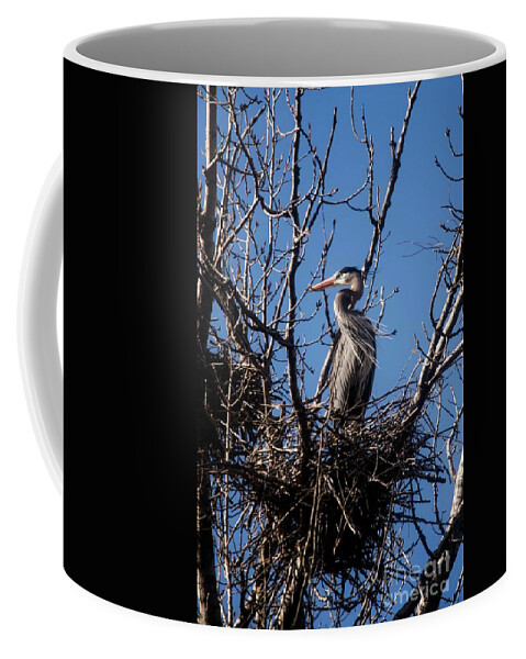 Blue Heron Coffee Mug featuring the photograph Great Blue Heron - 1 by David Bearden