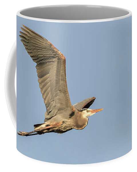 Great Blue Heron Coffee Mug featuring the photograph Great Blue Heron 2015-17 by Thomas Young