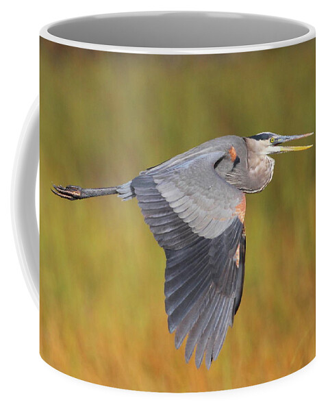 Heron Coffee Mug featuring the photograph Great Blue Heron In Flight by Bruce J Robinson