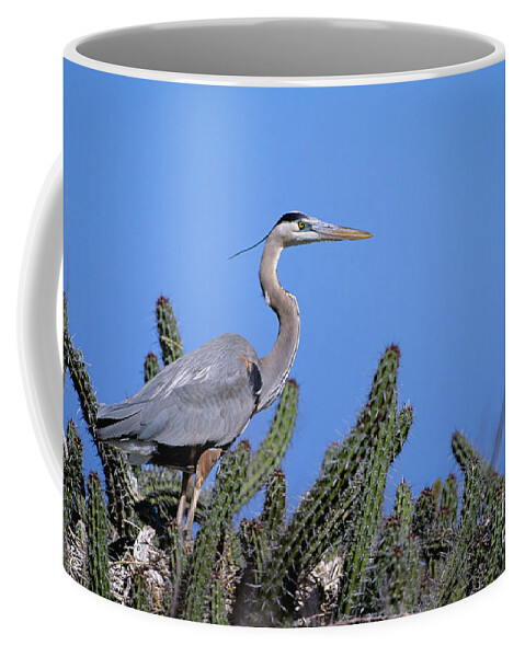 Animal Art Coffee Mug featuring the photograph Great Blue Heron by John Hyde - Printscapes