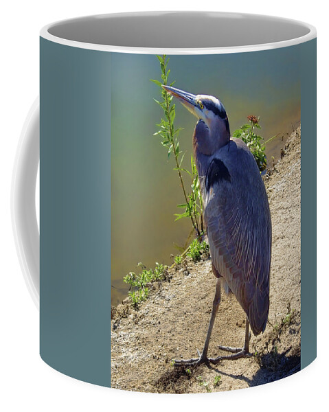 Water Coffee Mug featuring the photograph Great Blue Heron by Mariola Bitner