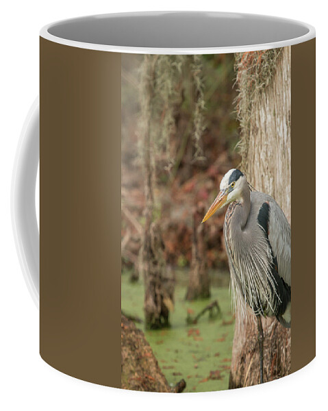 Great Blue Heron Coffee Mug featuring the photograph Great Blue Heron on Guard by Dorothy Cunningham