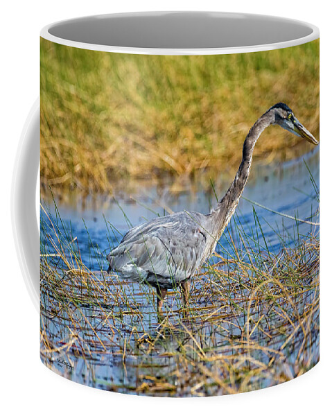 Herons Coffee Mug featuring the photograph Great Blue Heron On The Hunt by DB Hayes