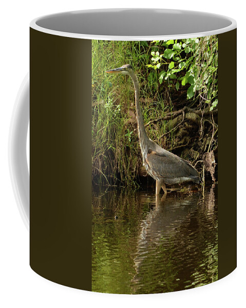 Nature Photography Coffee Mug featuring the photograph Great Blue Heron Wading in a Pond by Artful Imagery