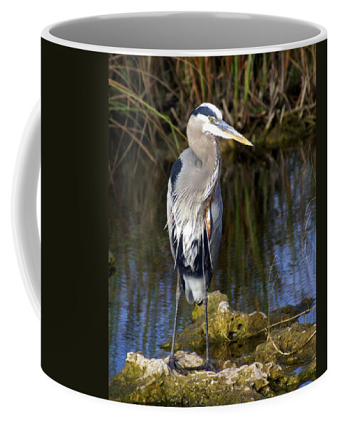Great Blue Heron Coffee Mug featuring the photograph Great Blue by Marty Koch