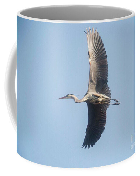 Great Blue Heron Coffee Mug featuring the photograph Great Blue on final by David Bearden