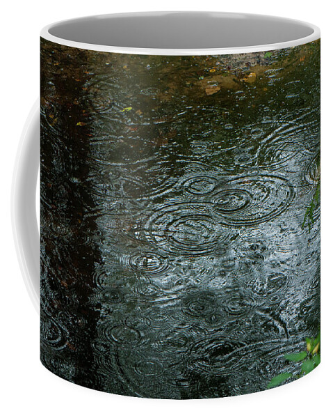 Color Image Coffee Mug featuring the photograph Great Dismal Water drops by Brian Green
