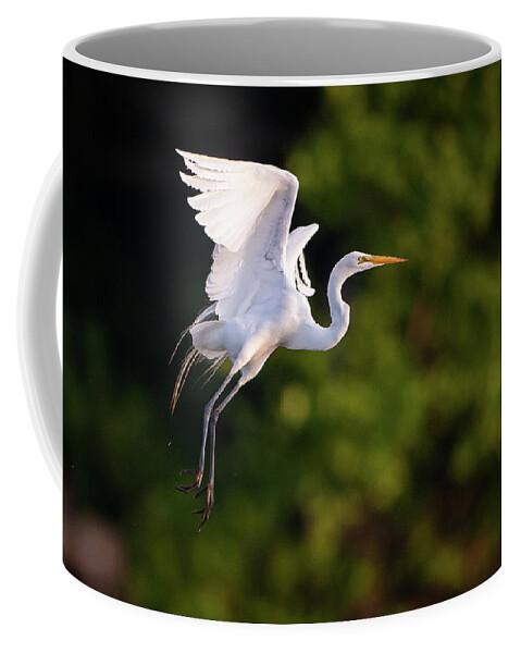 Great Egret (ardea Alba) Coffee Mug featuring the photograph Great Egret 3174 by Jeff Phillippi