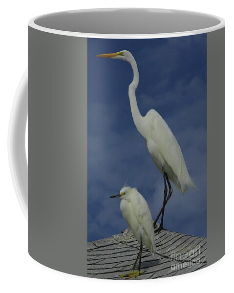 Great Egret Coffee Mug featuring the photograph Great Egret and Snowy Egret by D Hackett