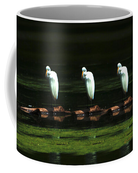 Great Egret Coffee Mug featuring the photograph Great Egret Art II by Ed Peterson