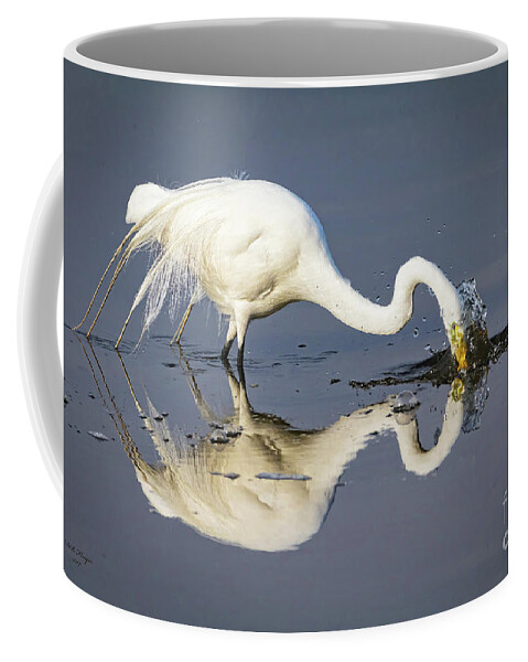 Egrets Coffee Mug featuring the photograph Great Egret Diving For Lunch by DB Hayes