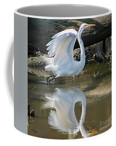 Egret Coffee Mug featuring the photograph Great Egret Lifting Off by DB Hayes