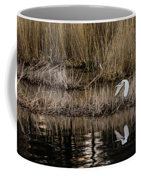 Great Egret Coffee Mug featuring the photograph Great Egret's flight to a new position by Torbjorn Swenelius