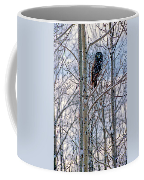 Canada Coffee Mug featuring the photograph Great Grey Owl by Doug Gibbons