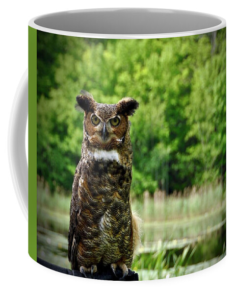 Owl Coffee Mug featuring the photograph Great Horned Owl by Cornelia DeDona