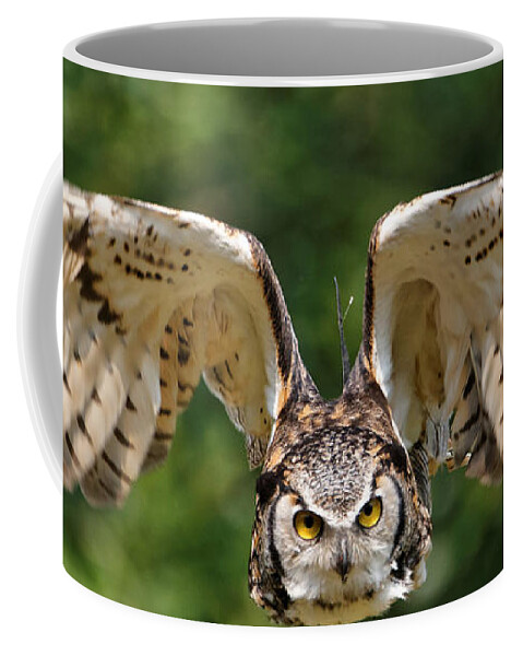 Great Horned Owl Coffee Mug featuring the photograph Great Horned Owl - In Flight by Sue Harper