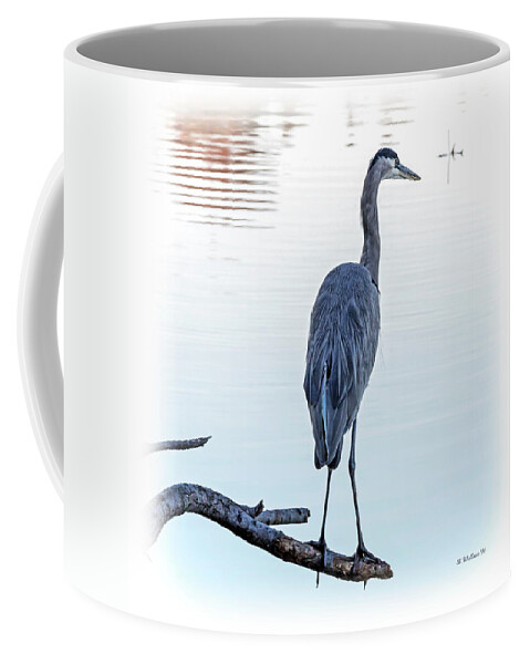 2d Coffee Mug featuring the photograph Great Patience by Brian Wallace
