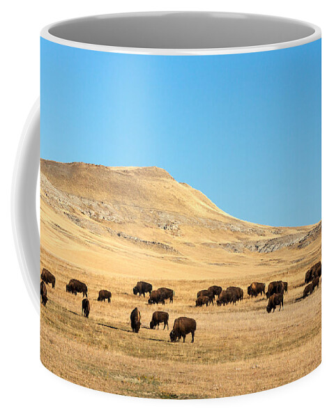 Buffalo Coffee Mug featuring the photograph Great Plains Buffalo by Todd Klassy