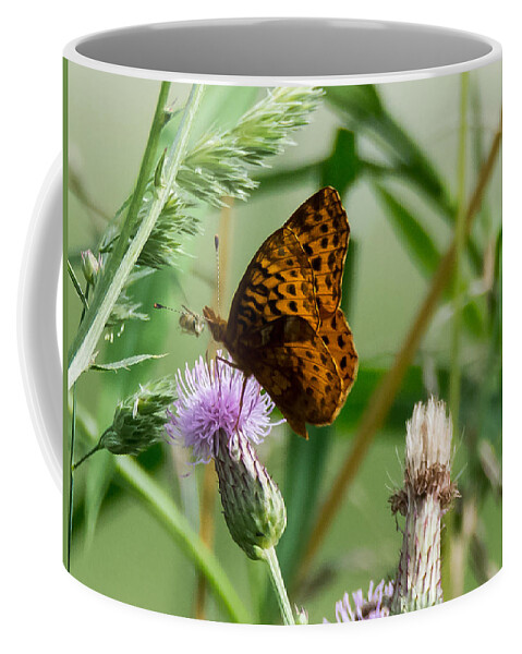 Great Spangled Fritillary Coffee Mug featuring the photograph Great Spangled Fritillary by Holden The Moment