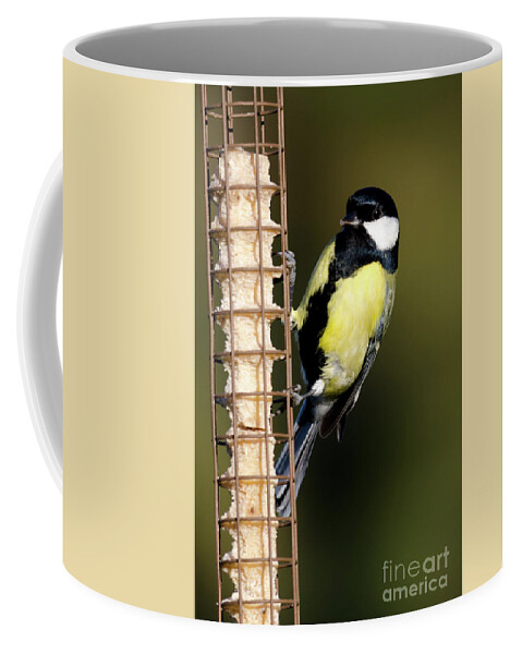 Great Tit Coffee Mug featuring the photograph Great tit on feeder by Steev Stamford