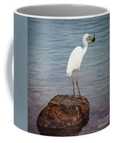 Great White Heron Coffee Mug featuring the photograph Great white heron with fish by Elena Elisseeva