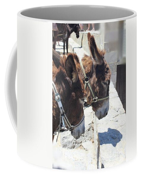 Greece Coffee Mug featuring the photograph Greece's Donkeys by Donna L Munro