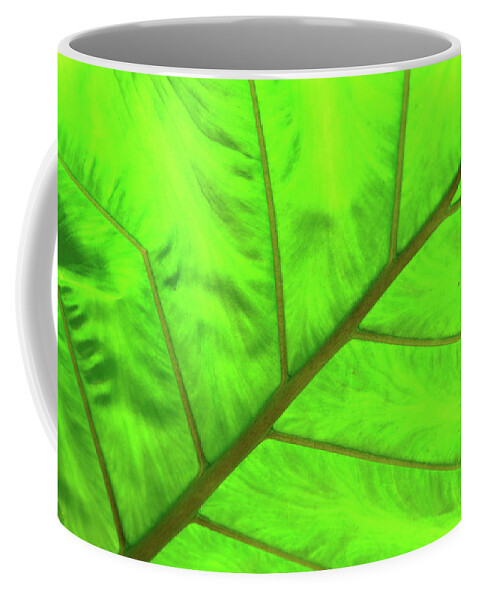 Eden Project Coffee Mug featuring the photograph Green Abstract No. 5 by Helen Jackson