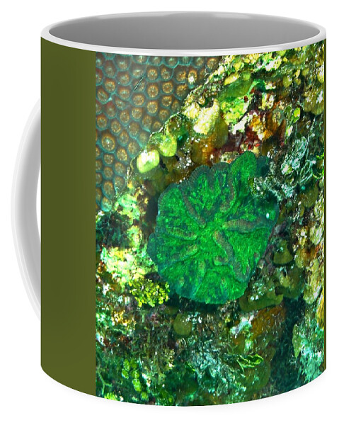 Artichoke Coffee Mug featuring the photograph Green Artichoke Coral by Amy McDaniel