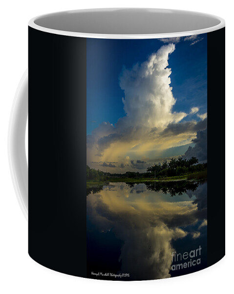 Boynton Beach Coffee Mug featuring the photograph Green Cay Reflections 3 by Nancy L Marshall