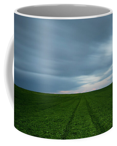 Freedom Coffee Mug featuring the photograph Green field and cloudy sky by Michalakis Ppalis