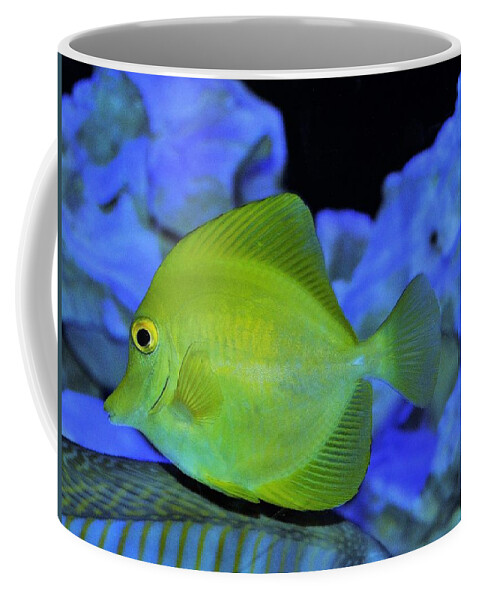 Fish Coffee Mug featuring the photograph Green Fish by Charles HALL