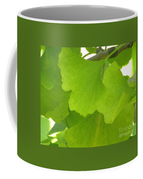Ginkgo Leaves Coffee Mug featuring the photograph Green Ginkgo by Kim Tran