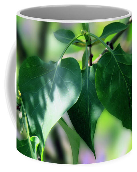 Green Coffee Mug featuring the photograph Green Leaves 2 by Johanna Hurmerinta