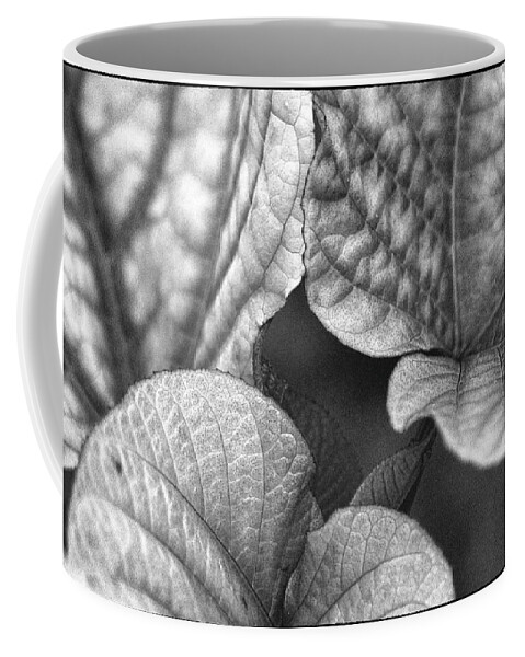 Leaf Coffee Mug featuring the photograph Green Leaves by John Hansen