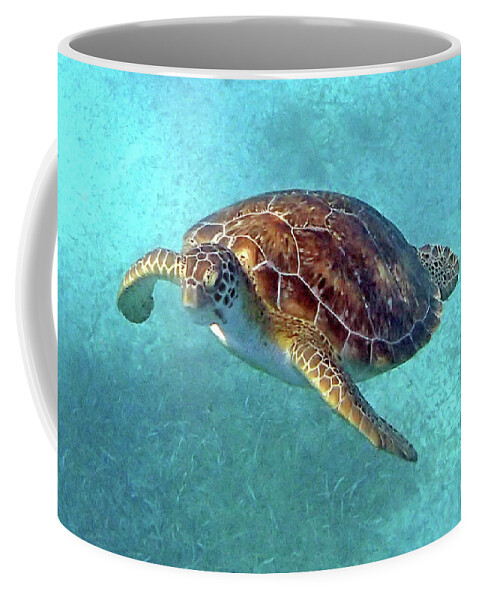 Underwater Coffee Mug featuring the photograph Green Sea Turtle 3 by Daryl Duda