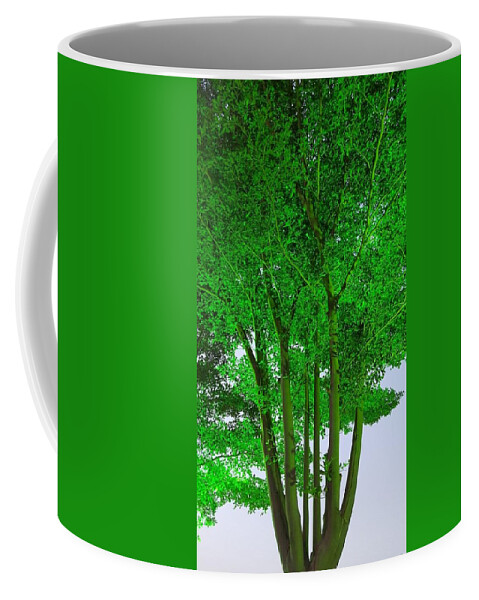 Nature Coffee Mug featuring the photograph Green tree by Hir Hamayyun