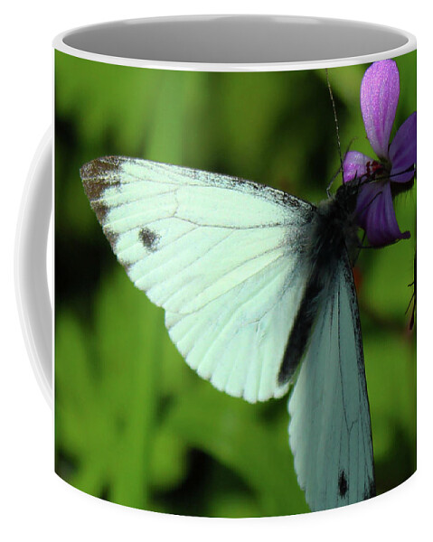Donegal On Your Wall Coffee Mug featuring the photograph Green-Veined White Butterfly Donegal by Eddie Barron