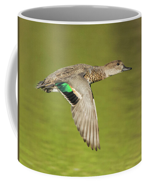Green Coffee Mug featuring the photograph Green-winged Teal 6320-100217-2cr by Tam Ryan