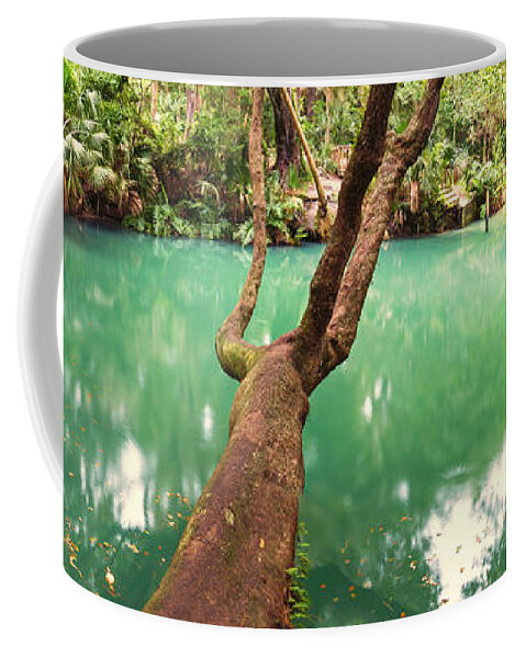 Green Springs Coffee Mug featuring the photograph Green Springs Florida by Stefan Mazzola