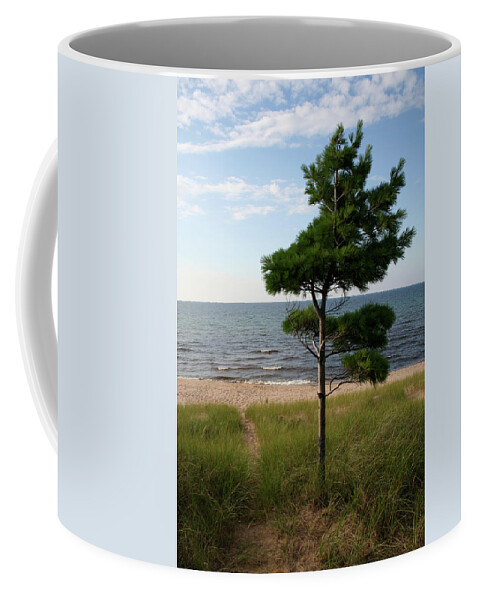 Greetings To The Beach Coffee Mug featuring the photograph Greetings to the Beach by Dylan Punke