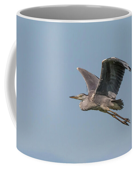 Grey Coffee Mug featuring the photograph Grey Heron by Wendy Cooper