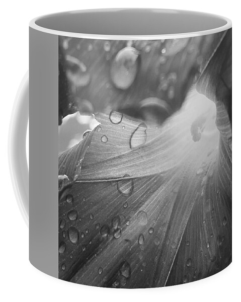 Black And White Coffee Mug featuring the photograph Grey Morning by Stephanie Hollingsworth