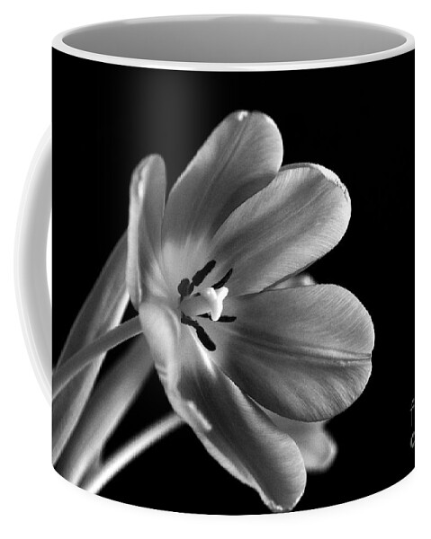 Love Coffee Mug featuring the photograph Grieving Again by Lorenzo Cassina