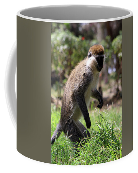Monkey Coffee Mug featuring the photograph Grivet Monkey Of The Great Rift Valley by Aidan Moran
