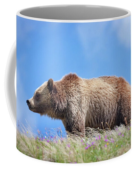 Mark Miller Photos Coffee Mug featuring the photograph Grizzly and Blue Sky by Mark Miller