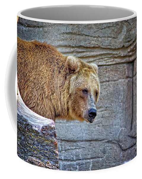 Bear Coffee Mug featuring the photograph Grizzly Bear by Ms Judi