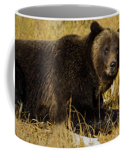 Bear Coffee Mug featuring the photograph Grizzly Bear-Signed-#6801 by J L Woody Wooden