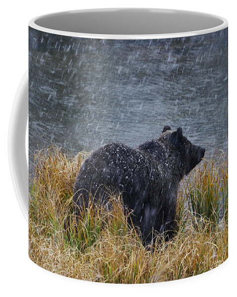 Grizzly Coffee Mug featuring the photograph Grizzly in Falling Snow by Mark Miller