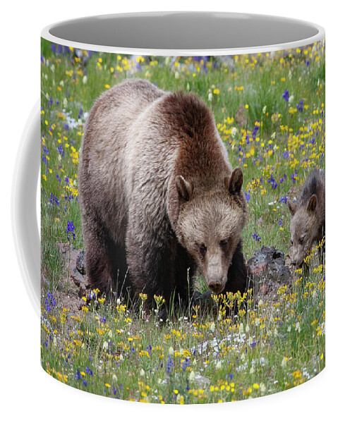 Mark Miller Photos Coffee Mug featuring the photograph Grizzly Sow and Cub in Summer Flowers by Mark Miller