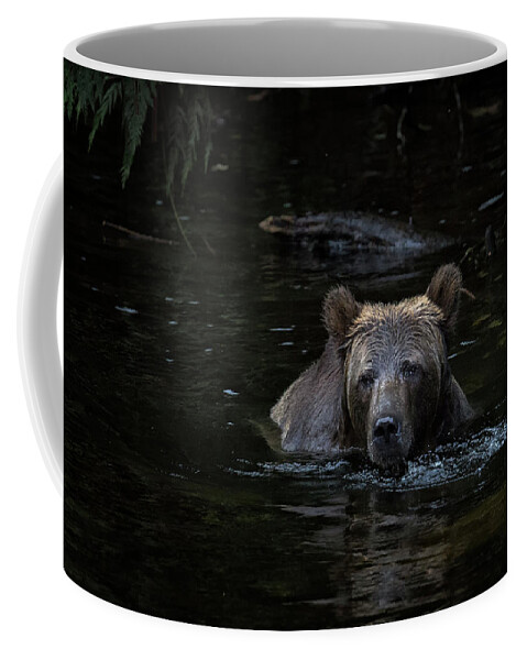 Grizzly Bear Coffee Mug featuring the photograph Grizzly Swimmer by Randy Hall